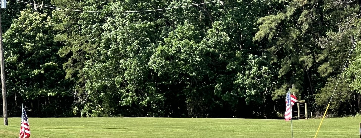 Paved road frontage and hardwood tree line at Ivy Rose Ranch