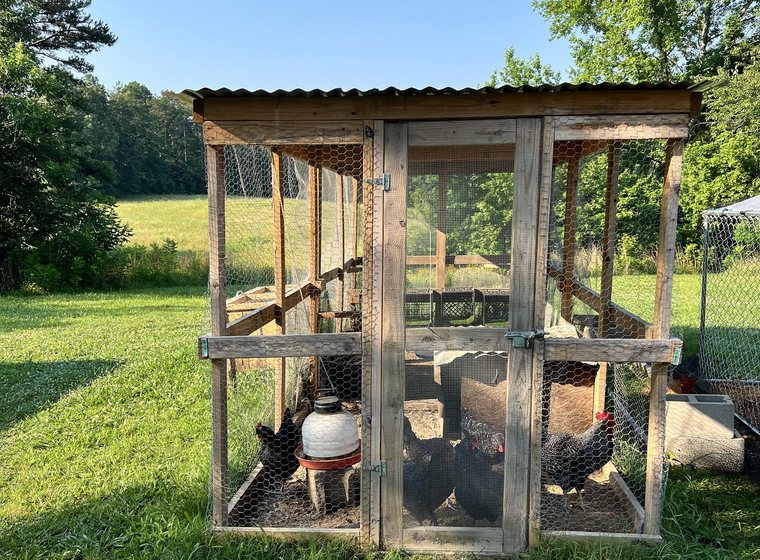 Chicken coop and run with established laying flock